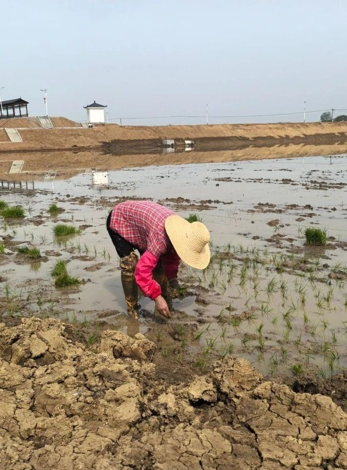 多宝电竞|体育官方网站