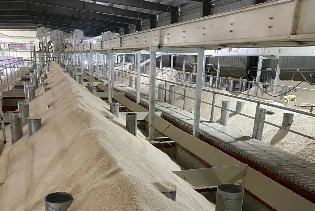 多宝电竞|体育官方网站