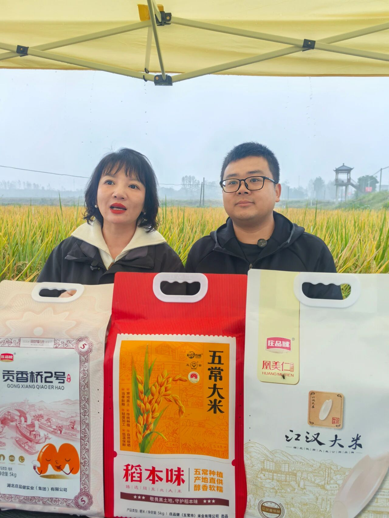 多宝电竞|体育官方网站